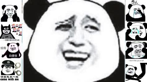 Chinese Panda Reaction Images / Biaoqing Panda Head.